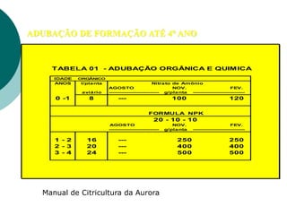 ADUBAÇÃO DE FORMAÇÃO ATÉ 4° ANO
TABELA 01 - ADUBAÇÃO ORGÂNICA E QUIMICA
IDADE ORGÂNICO
ANOS l/planta Nitrato de Amônio
AGOSTO NOV. FEV.
aviário ---------------------------- g/planta -----------------------------
0 -1 8 --- 100 120
FORMULA NPK
20 - 10 - 10
AGOSTO NOV. FEV.
---------------------------- g/planta -----------------------------
1 - 2 16 --- 250 250
2 - 3 20 --- 400 400
3 - 4 24 --- 500 500
Manual de Citricultura da Aurora
 