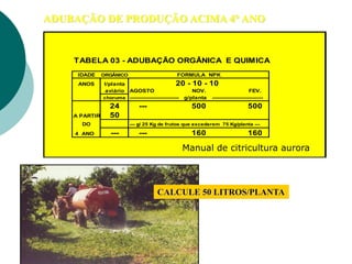 ADUBAÇÃO DE PRODUÇÃO ACIMA 4° ANO
TABELA 03 - ADUBAÇÃO ORGÂNICA E QUIMICA
IDADE ORGÂNICO FORMULA NPK
ANOS l/planta 20 - 10 - 10
aviário AGOSTO NOV. FEV.
chorume ---------------------------- g/planta -----------------------------
24 --- 500 500
A PARTIR 50
DO --- g/ 25 Kg de frutos que excederem 75 Kg/planta ---
4 ANO --- --- 160 160
CALCULE 50 LITROS/PLANTA
Manual de citricultura aurora
 