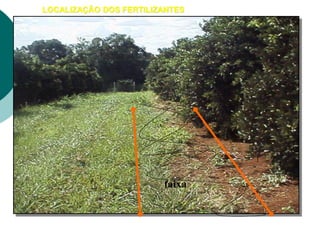LOCALIZAÇÃO DOS FERTILIZANTES
faixa
 