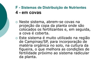 F - Sistemas de Distribuição de Nutrientes
4 - em covas
 Neste sistema, abrem-se covas na
projeção da copa da planta onde são
colocados os fertilizantes e, em seguida,
a cova é coberta.
 Este sistema é muito utilizado na região
de Campinas/SP, para incorporação de
matéria orgânica no solo, na cultura da
figueira, o que melhora as condições de
fertilidade próximo ao sistema radicular
da planta.
 