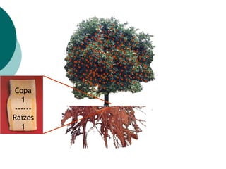 Copa
1
------
Raizes
1
 