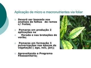 Aplicação de micro e macronutrientes via foliar
 Deverá ser baseada nas
analises de folhas de ramos
c/ frutos;
 Pomares em produção 2
aplicações na
 florada e nas brotações de
verão;
 Pomares em formação 3
pulverizações nas épocas de
vegetação ( ago, nov, jan);
 Aproveitando o Programa
Fitossanitário;
 