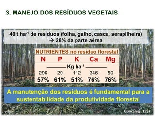 40 t ha-1 de resíduos (folha, galho, casca, serapilheira)
 28% da parte aérea
NUTRIENTES no resíduo florestal
N P K Ca Mg
__________ Kg ha-¹ ___________
296 29 112 346 50
57% 61% 51% 76% 76%
3. MANEJO DOS RESÍDUOS VEGETAIS
Gonçalves, 1997
A manutenção dos resíduos é fundamental para a
sustentabilidade da produtividade florestal
 