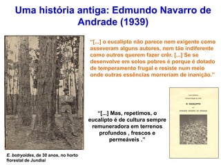Uma história antiga: Edmundo Navarro de
Andrade (1939)
“[...] o eucalipto não parece nem exigente como
asseveram alguns autores, nem tão indiferente
como outros querem fazer crêr. [...] Se se
desenvolve em solos pobres é porque é dotado
de temperamento frugal e resiste num meio
onde outras essências morreriam de inanição.”
“[...] Mas, repetimos, o
eucalipto é de cultura sempre
remuneradora em terrenos
profundos , frescos e
permeáveis .”
E. botryoides, de 30 anos, no horto
florestal de Jundiaí
 