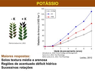 POTÁSSIO
Patricia Laclau et al., 2011
Laclau, 2012
Almeida et al., 2010. Forest Ecology and Management.
Epron et al., 2012. Tree Physiology.
Battie-Laclau et al., 2012. Tree Physiology.
- K + K
Maiores respostas:
Solos textura média a arenosa
Regiões de acentuado déficit hídrico
Sucessivas rotações
 