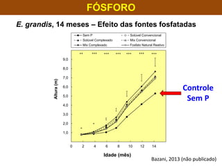 FÓSFORO
E. grandis, 14 meses – Efeito das fontes fosfatadas
0,0
1,0
2,0
3,0
4,0
5,0
6,0
7,0
8,0
9,0
10,0
0 2 4 6 8 10 12 14 16
Altura(m)
Idade (mês)
Sem P Solúvel Convencional
Solúvel Complexado Mix Convencional
Mix Complexado Fosfato Natural Reativo
** *** *** ****** *** ***
Bazani, 2013 (não publicado)
Controle
Sem P
 