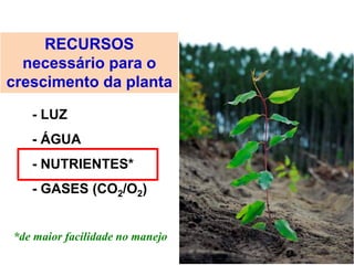 RECURSOS
necessário para o
crescimento da planta
- LUZ
- ÁGUA
- NUTRIENTES*
- GASES (CO2/O2)
*de maior facilidade no manejo
 