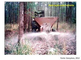 Fonte: Gonçalves, 2012
 