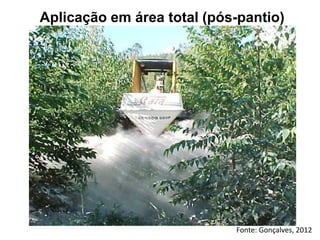 Fonte: Gonçalves, 2012
Aplicação em área total (pós-pantio)
 