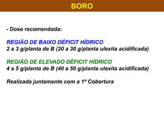 BORO
- Dose recomendada:
REGIÃO DE BAIXO DÉFICIT HÍDRICO
2 a 3 g/planta de B (20 a 30 g/planta ulexita acidificada)
REGIÃO DE ELEVADO DÉFICIT HÍDRICO
4 a 5 g/planta de B (40 a 50 g/planta ulexita acidificada)
Realizada juntamente com a 1ª Cobertura
 