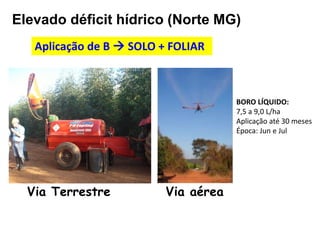 Elevado déficit hídrico (Norte MG)
Aplicação de B  SOLO + FOLIAR
Via Terrestre Via aérea
BORO LÍQUIDO:
7,5 a 9,0 L/ha
Aplicação até 30 meses
Época: Jun e Jul
 