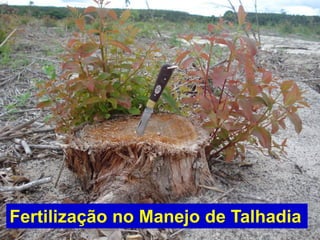Fertilização no Manejo de Talhadia
 