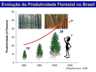 0
10
20
30
40
50
60
1960 1980 2000 2020
Produtividade(m³/ha/ano)
10
38
Evolução da Produtividade Florestal no Brasil
Gonçalves et al., 2008
 