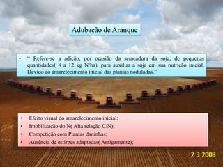 Ciclo do nitrogênio