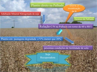 Imobilização do N( Alta relação C/N);