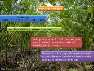 Competição com Plantas daninhas;