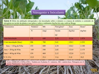 Plantio direto na PalhadaOcorre  a imobilização de NAdubação Mineral Nitrogenada da sojaExcesso de PalhadaRelação C/N na Palhada em torno de 60 a 80/1Plantio em  pastagens degradada  e V% menor que 20% péssimas condições de fertilidade de soloSojaRecuperadora