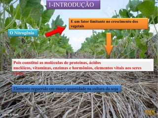 1-INTRODUÇÃOE um fator limitante no crescimento dos vegetaisO Nitrogênio Pois constitui as moléculas de proteínas, ácidos nucléicos, vitaminas, enzimas e hormônios, elementos vitais aos seres vivos.Elemento reguerido em maior quantidade na cultura da soja