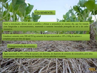 Perdas de NitrogênioNitrificação2 NH3 + 3O2             2 NO2- + 2 H+ + 2 H2O Amonificação (NH4+ )                   Amoníaco (NH3),O nitrogênio pode ser lixiviado quando a parte superior do solo é decapitada e também é remolvido pela LixiviaçãoOs nitratos e nitritos, que são anions, mostram-se particularmente suscetíveis à lixiviação pela água que se infiltra através do solo