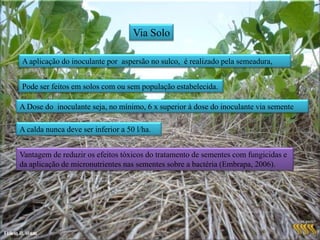 Adubação NitrogenadaSegundo Novais et al. (1999) além de reduzir a nodulação e a eficiência da FBN, não traz nenhum incremento de produtividade para a soja. Conclui que a adubação nitrogenada deve ser eliminada desde que se faça uma inoculação adequada das sementes.As formulas de adubo que contêm N caso seja mais economicas elas poderão ser utilizadas, desde que não sejam aplicados mais do que 20 kg de N/haEstudos desenvolvidos por Peoples and Craswell (1992) verificaram que a soja pode fixar até 450 kg/ha, suficiente para produzir 5.420 kg de soja considerando a necessidade de 83 kg de N / 1000 kg de grãos.