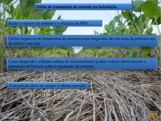 Adubação Tardia“ A utilização de fertilizantes nitrogenados em suplementação tardia para a soja, independentemente do sistema de manejo do solo, não apresenta vantagem econômica, em relação à inoculação de bradirrizóbio, em latossolos do Cerrado.” ( MENDES et al., 2008)