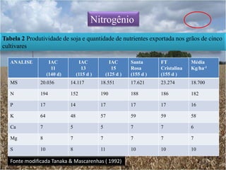 Depois: Folhas mais jovens amareladas