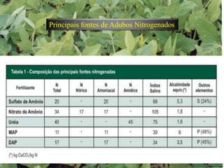 Folhas menores e caule mais fino