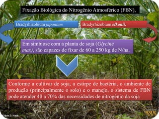 Principais fontes de Adubos Nitrogenados