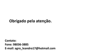 Obrigado pela atenção.
Contato:
Fone: 98036-3885
E-mail: agro_leandro17@hotmail.com
 