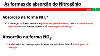 2
Absorção na forma NH4
+
 A absorção na forma amoniacal ganhos em produtividades, pois e assimilado mais
rapidamente para formar proteínas  menor gasto de energia
Absorção na forma NO3
-
 A absorvida em maior proporção, deve ser reduzido a NH4  maior gasto de
energia.
Slide
 