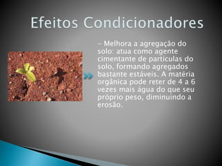 - Melhora a agregação do
solo: atua como agente
cimentante de partículas do
solo, formando agregados
bastante estáveis. A matéria
orgânica pode reter de 4 a 6
vezes mais água do que seu
próprio peso, diminuindo a
erosão.
 