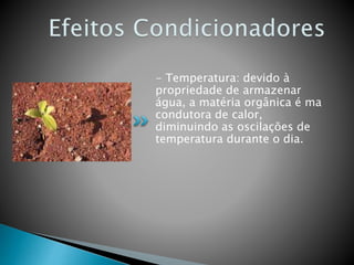 - Temperatura: devido à
propriedade de armazenar
água, a matéria orgânica é ma
condutora de calor,
diminuindo as oscilações de
temperatura durante o dia.
 