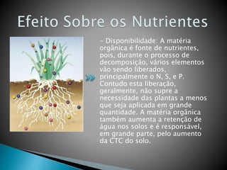 - Disponibilidade: A matéria
orgânica é fonte de nutrientes,
pois, durante o processo de
decomposição, vários elementos
vão sendo liberados,
principalmente o N, S, e P.
Contudo esta liberação,
geralmente, não supre a
necessidade das plantas a menos
que seja aplicada em grande
quantidade. A matéria orgânica
também aumenta a retenção de
água nos solos e é responsável,
em grande parte, pelo aumento
da CTC do solo.
 