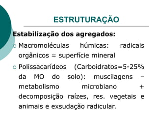 ESTRUTURAÇÃO
Estabilização dos agregados:
 Macromoléculas húmicas: radicais
orgânicos = superfície mineral
 Polissacarídeos (Carboidratos=5-25%
da MO do solo): muscilagens –
metabolismo microbiano +
decomposição raízes, res. vegetais e
animais e exsudação radicular.
 