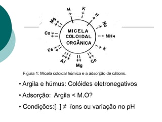 Figura 1: Micela coloidal húmica e a adsorção de cátions.
• Argila e húmus: Colóides eletronegativos
• Adsorção: Argila < M.O?
• Condições:[ ] ≠ íons ou variação no pH
 