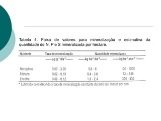 Tabela 4. Faixa de valores para mineralização e estimativa da
quantidade de N, P e S mineralizada por hectare.
 