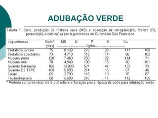 ADUBAÇÃO VERDE
 