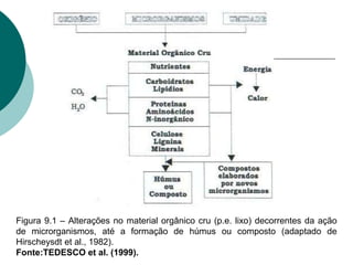Figura 9.1 – Alterações no material orgânico cru (p.e. lixo) decorrentes da ação
de microrganismos, até a formação de húmus ou composto (adaptado de
Hirscheysdt et al., 1982).
Fonte:TEDESCO et al. (1999).
 