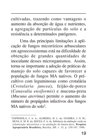 19
cultivadas, trazendo como vantagens o
aumento da absorção de água e nutrientes,
a agregação de partículas do solo e a
resistência a determinados patógenos.
Uma das principais limitações à apli-
cação de fungos micorrízicos arbusculares
em agroecossistemas está na dificuldade de
obtenção de grandes quantidades de
inoculante desses microrganismos. Assim,
torna-se importante a adoção de práticas de
manejo do solo capazes de favorecer a
população de fungos MA nativos. O pré-
cultivo com leguminosas como crotalária
(Crotalaria juncea), feijão-de-porco
(Canavalia ensiformis) e mucuna-preta
(Mucuna aterrima) permite o aumento do
número de propágulos infectivos dos fungos
MA nativos do solo5
.
5
ESPINDOLA, J. A. A.; ALMEIDA, D. L. de; GUERRA, J. G. M.;
SILVA, E. M. R. da; SOUZA, F. A. de. Influência da adubação verde na
colonização micorrízica e na produção da batata-doce. Pesquisa
Agropecuária Brasileira, Brasília, DF, v. 33, p. 339-347, 1998.
 