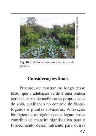 47
Foto:VivianeFernandesMoreira
Fig. 10. Cultivo de brócolos entre faixas de
guandu.
Considerações finais
Procurou-se mostrar, ao longo desse
texto, que a adubação verde é uma prática
agrícola capaz de melhorar as propriedades
do solo, auxiliando no controle de fitopa-
tógenos e plantas invasoras. A fixação
biológica de nitrogênio pelas leguminosas
contribui de maneira significativa para o
fornecimento desse nutriente para outras
 