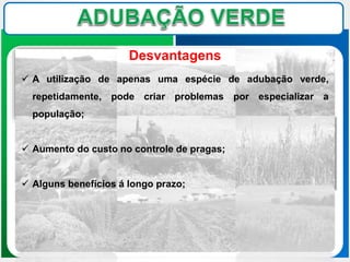 Desvantagens
 A utilização de apenas uma espécie de adubação verde,
repetidamente, pode criar problemas por especializar a
população;
 Aumento do custo no controle de pragas;
 Alguns benefícios á longo prazo;
 