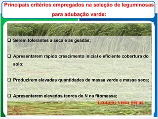 Principais critérios empregados na seleção de leguminosas
para adubação verde:
 Serem tolerantes a seca e as geadas;
 Apresentarem rápido crescimento inicial e eficiente cobertura do
solo;
 Produzirem elevadas quantidades de massa verde e massa seca;
 Apresentarem elevados teores de N na fitomassa;
 