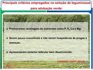  Promoverem reciclagem de nutrientes como P, K, Ca e Mg;
 Serem pouco suscetíveis e não serem hospedeiras de pragas e
doenças;
 Apresentarem sistema radicular bem desenvolvido.
Principais critérios empregados na seleção de leguminosas
para adubação verde:
 