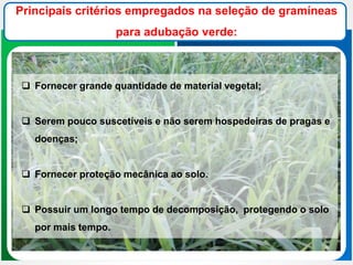  Fornecer grande quantidade de material vegetal;
 Serem pouco suscetíveis e não serem hospedeiras de pragas e
doenças;
 Fornecer proteção mecânica ao solo.
 Possuir um longo tempo de decomposição, protegendo o solo
por mais tempo.
Principais critérios empregados na seleção de gramíneas
para adubação verde:
 
