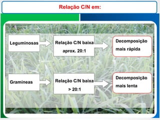 Relação C/N em:
Leguminosas Relação C/N baixa
Relação C/N baixa
Gramíneas
Decomposição
mais rápida
Decomposição
mais lenta
> 20:1
aprox. 20:1
 