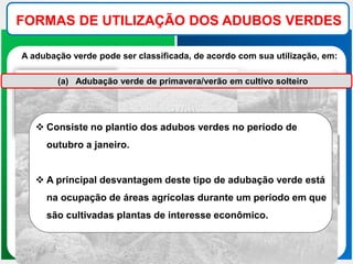 FORMAS DE UTILIZAÇÃO DOS ADUBOS VERDES
A adubação verde pode ser classificada, de acordo com sua utilização, em:
(a) Adubação verde de primavera/verão em cultivo solteiro
 Consiste no plantio dos adubos verdes no período de
outubro a janeiro.
 A principal desvantagem deste tipo de adubação verde está
na ocupação de áreas agrícolas durante um período em que
são cultivadas plantas de interesse econômico.
 