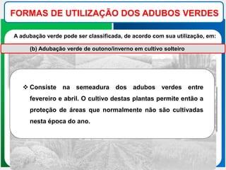 FORMAS DE UTILIZAÇÃO DOS ADUBOS VERDES
A adubação verde pode ser classificada, de acordo com sua utilização, em:
(b) Adubação verde de outono/inverno em cultivo solteiro
 Consiste na semeadura dos adubos verdes entre
fevereiro e abril. O cultivo destas plantas permite então a
proteção de áreas que normalmente não são cultivadas
nesta época do ano.
 