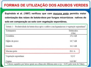 FORMAS DE UTILIZAÇÃO DOS ADUBOS VERDES
Espindola et al. (1997) verificou que com mucuna preta permitiu maior
colonização das raízes de batata-doce por fungos micorrízicos nativos do
solo em comparação ao solo com vegetação espontânea.
 