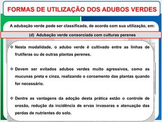FORMAS DE UTILIZAÇÃO DOS ADUBOS VERDES
A adubação verde pode ser classificada, de acordo com sua utilização, em:
(d) Adubação verde consorciada com culturas perenes
 Nesta modalidade, o adubo verde é cultivado entre as linhas de
frutíferas ou de outras plantas perenes.
 Devem ser evitados adubos verdes muito agressivos, como as
mucunas preta e cinza, realizando o coroamento das plantas quando
for necessário.
 Dentre as vantagens da adoção desta prática estão o controle de
erosão, redução da incidência de ervas invasoras e atenuação das
perdas de nutrientes do solo.
 