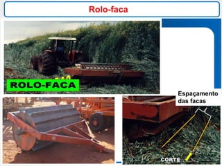 Rolo-faca
Espaçamento
das facas
 